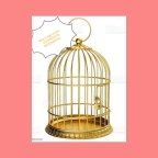 MIAN CAGE & BIRD CENTRE