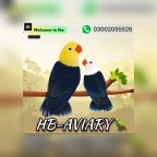HYDERABAD BIRDS