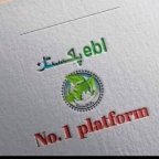 EBL Pakistan Real Earning