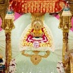 Shri Shyam Daily Darshan