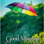 Good Morning Quotes
