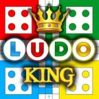Ludo King Player