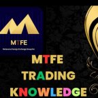 MTFE India