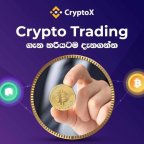 Crypto Currency Trading