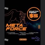 Metaforce World