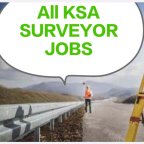 Surveyor Jobs