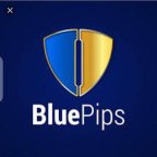 Blue Gold Expert