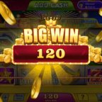 All Rummy Application