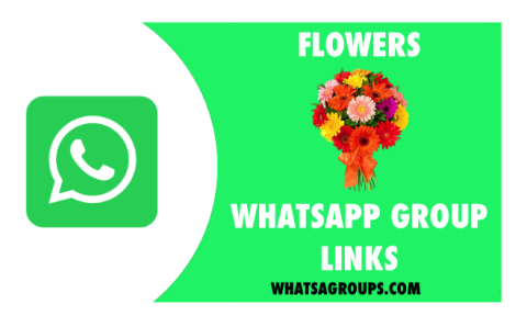 Flowers WhatsApp Group Links List - WhatsaGroups.in